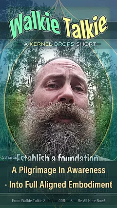 A Pilgrimage In Awareness · Into Full Aligned Embodiment