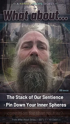 The Stack of Our Sentience · Pin Down Your Inner Spheres